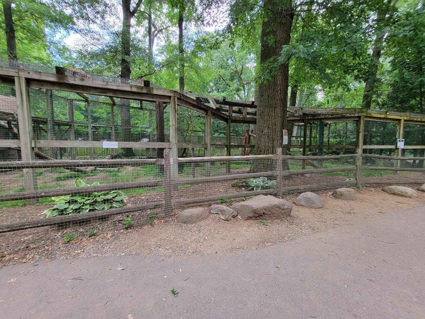 Zoo in Forest Park - Leopard