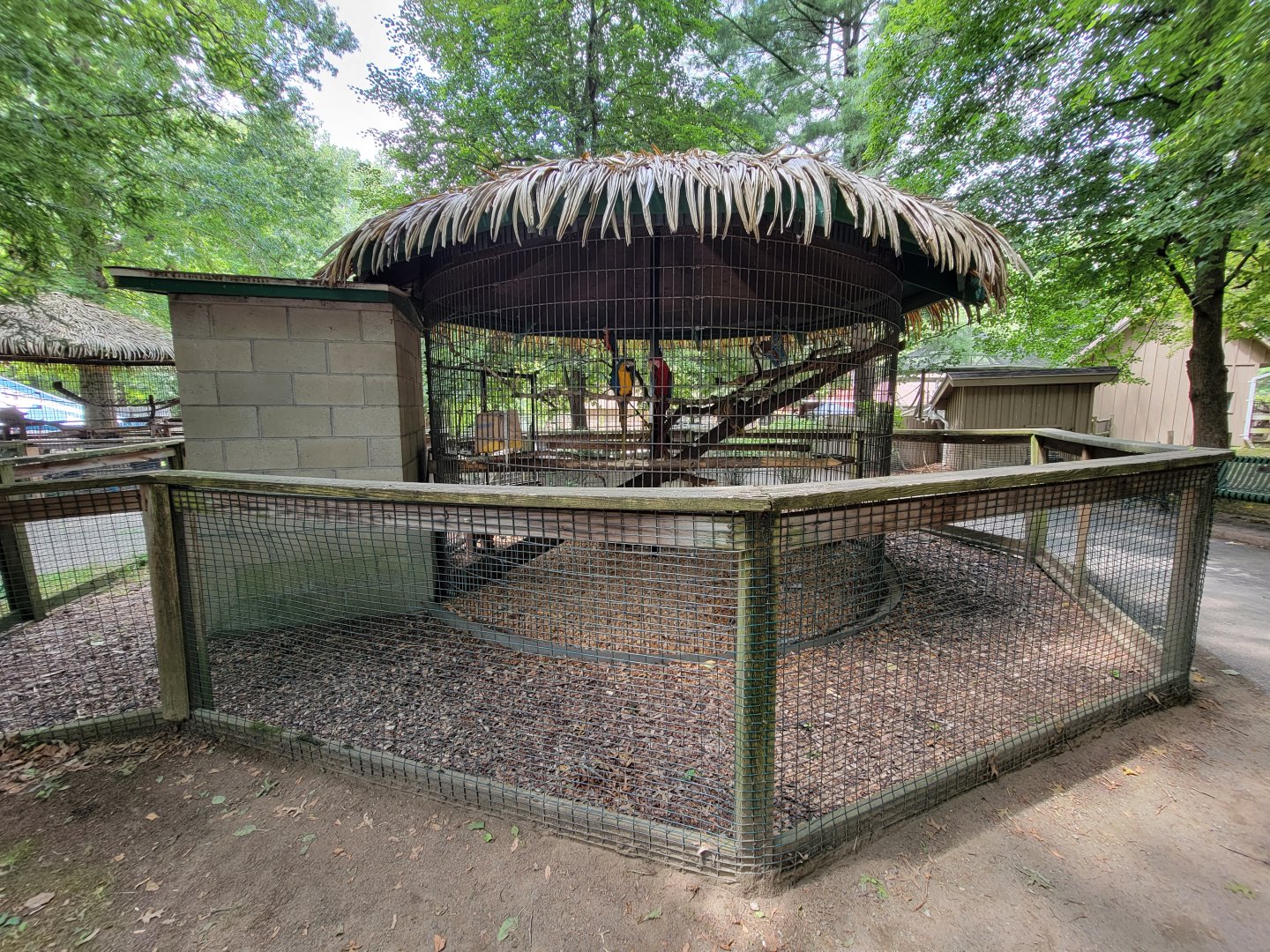 Zoo in Forest Park - Macaws