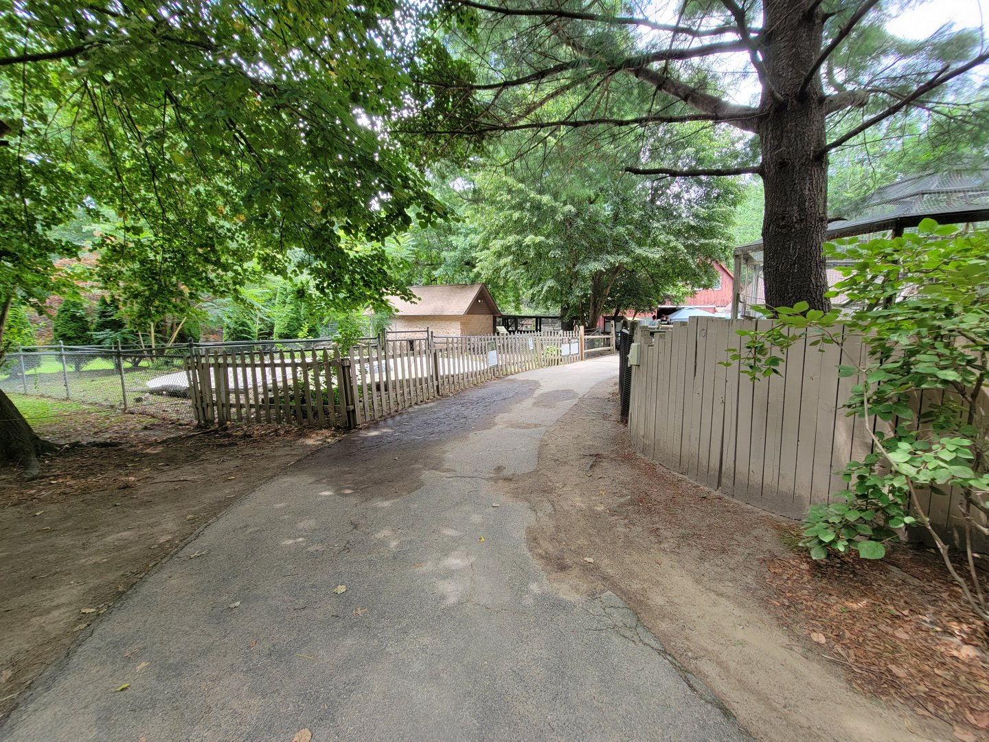 Zoo in Forest Park - Path