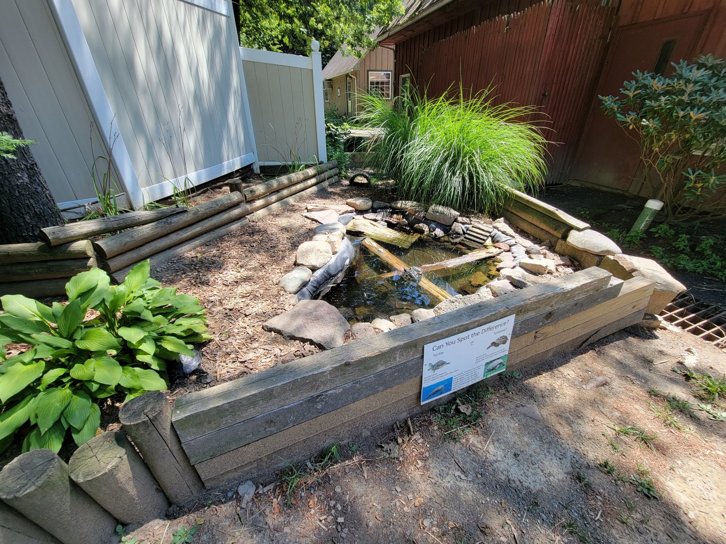 Zoo in Forest Park - Red-footed tortoise