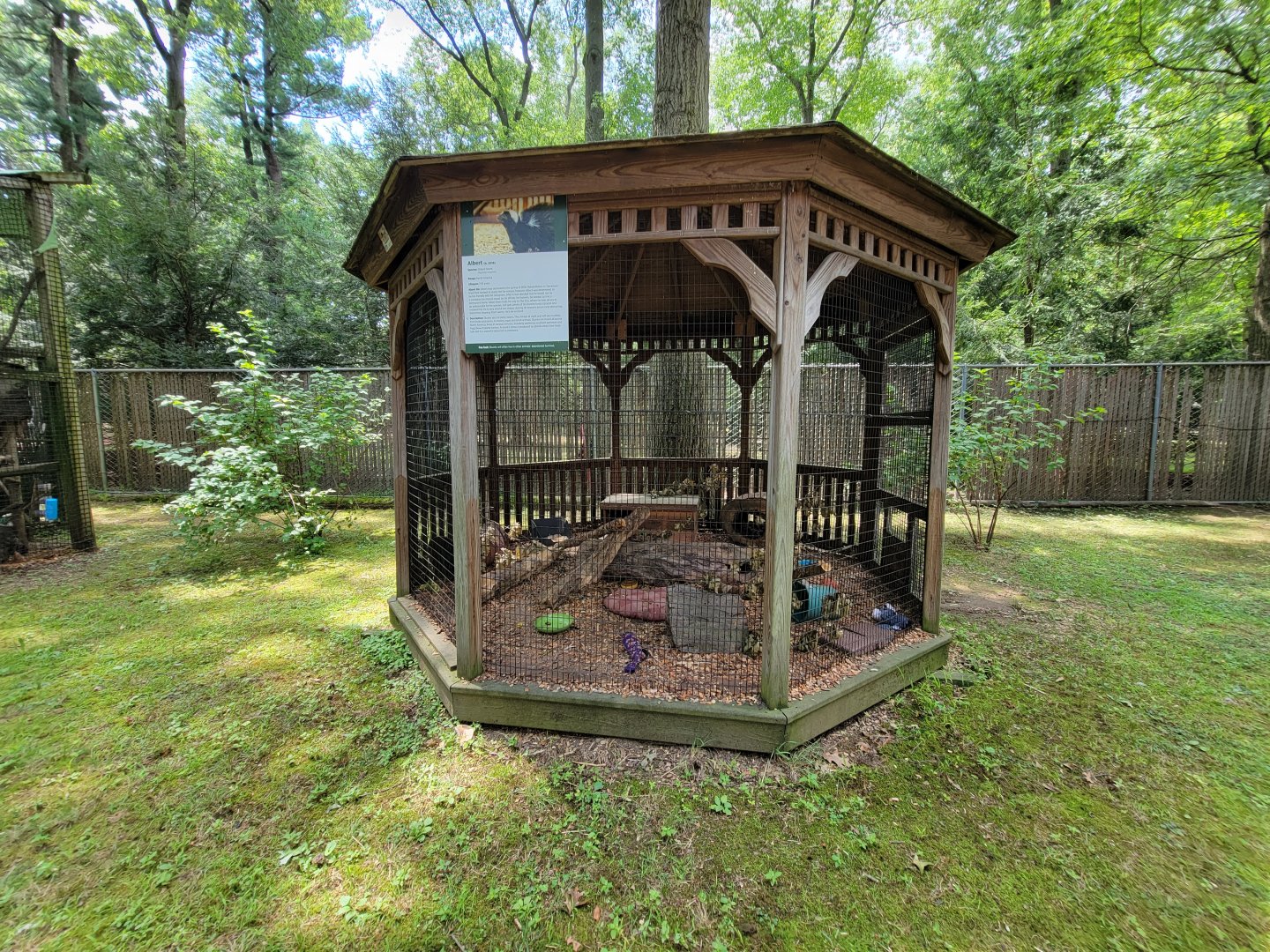 Zoo in Forest Park - Striped skunks