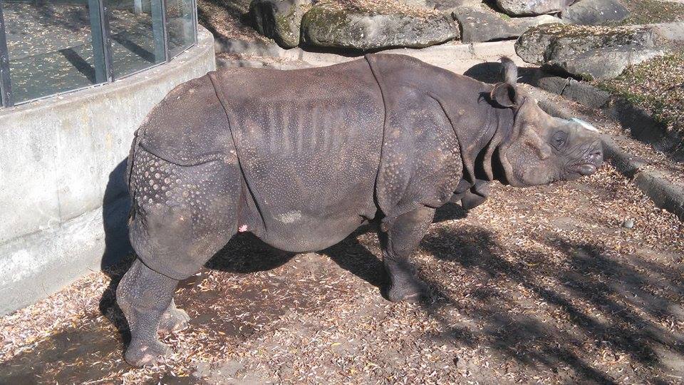 Zoo in Munich (Tierpark Hellabrun), November 11th, 2015