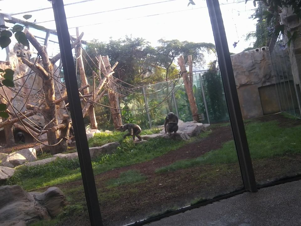 Zoo in Munich (Tierpark Hellabrun), November 11th, 2015