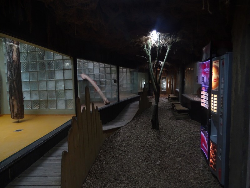 Zoo Jihlava 0/2016: Cat House indoor enclosures