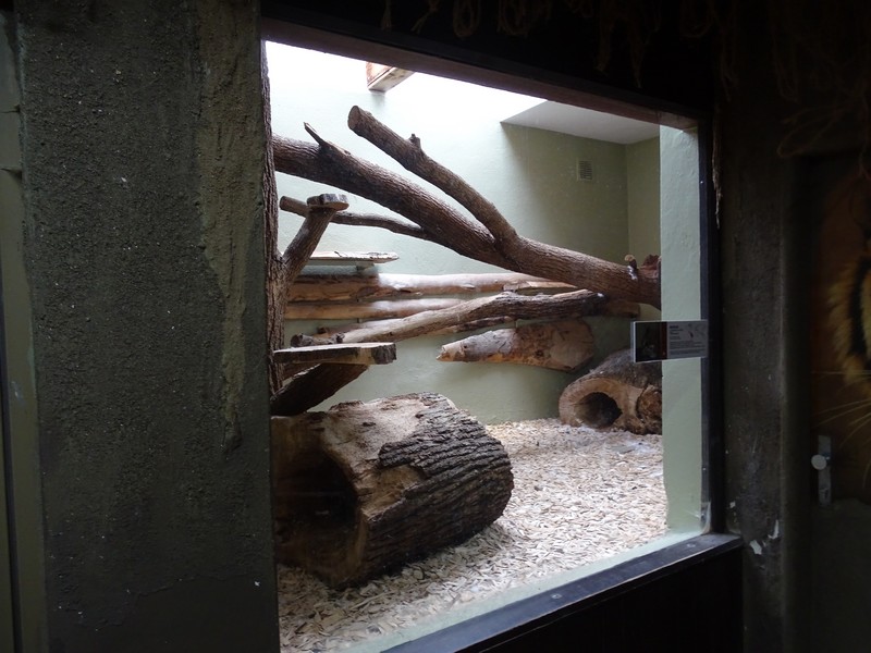 Zoo Jihlava 0/2016: Cat House margay indoor enclosure