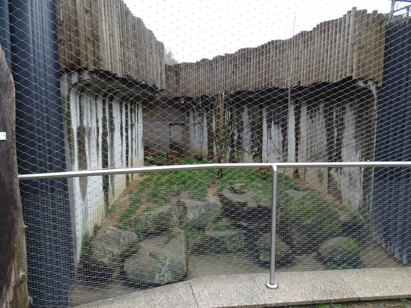 Zoo Jihlava 0/2016: Cat House Serval enclosure