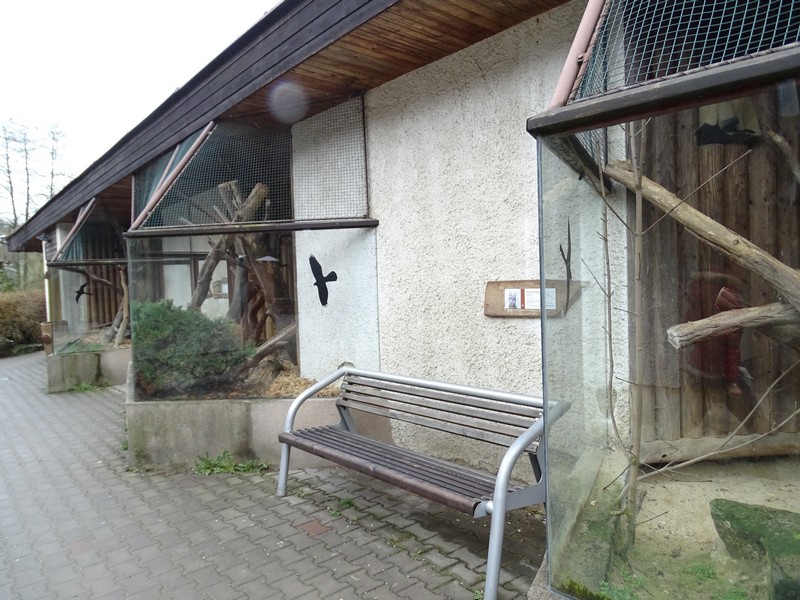 Zoo Jihlava 0/2016: Cat House; small cats outdoor enclosures