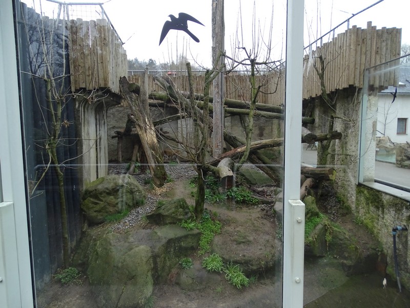 Zoo Jihlava 0/2016: Cat House Sri Lankan leopard enclosure