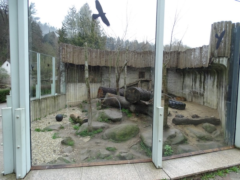 Zoo Jihlava 0/2016: Cat House Sumatran tiger enclosure