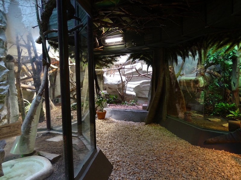 Zoo Jihlava 04/2016: Amazon house