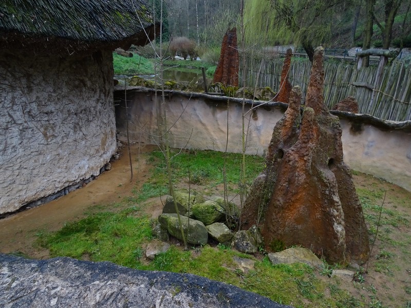 Zoo Jihlava 04/2016: banded mongoose enclosure
