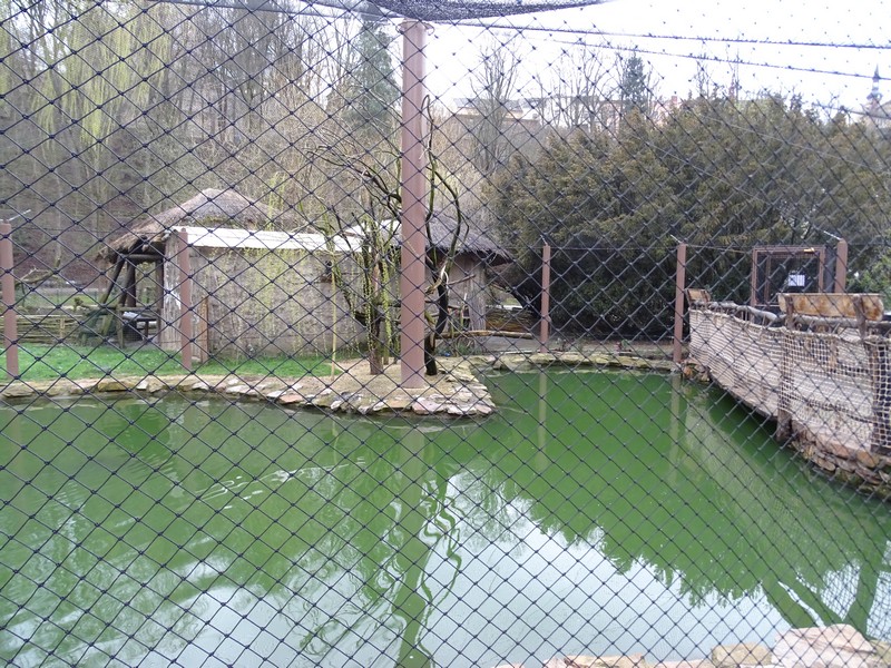 Zoo Jihlava 04/2016: Big aviary