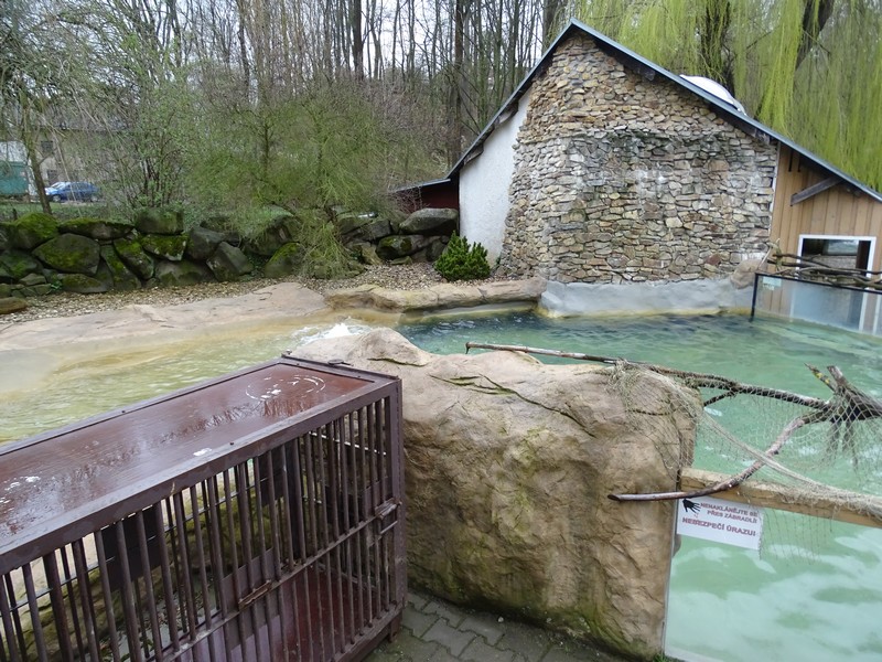 Zoo Jihlava 04/2016: Common seal enclosure
