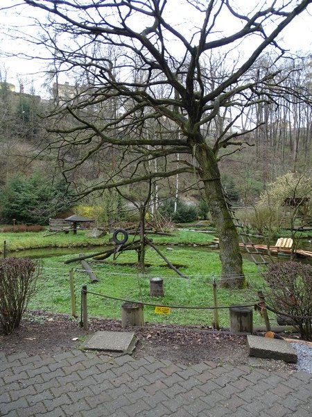 Zoo Jihlava 04/2016: Island for lemurs