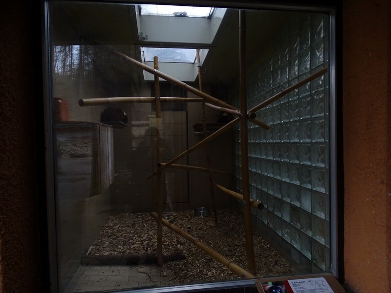Zoo Jihlava 04/2016: Lemur indoor enclosure