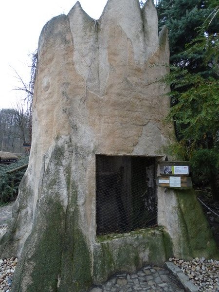 Zoo Jihlava 04/2016: Little owl enclosure