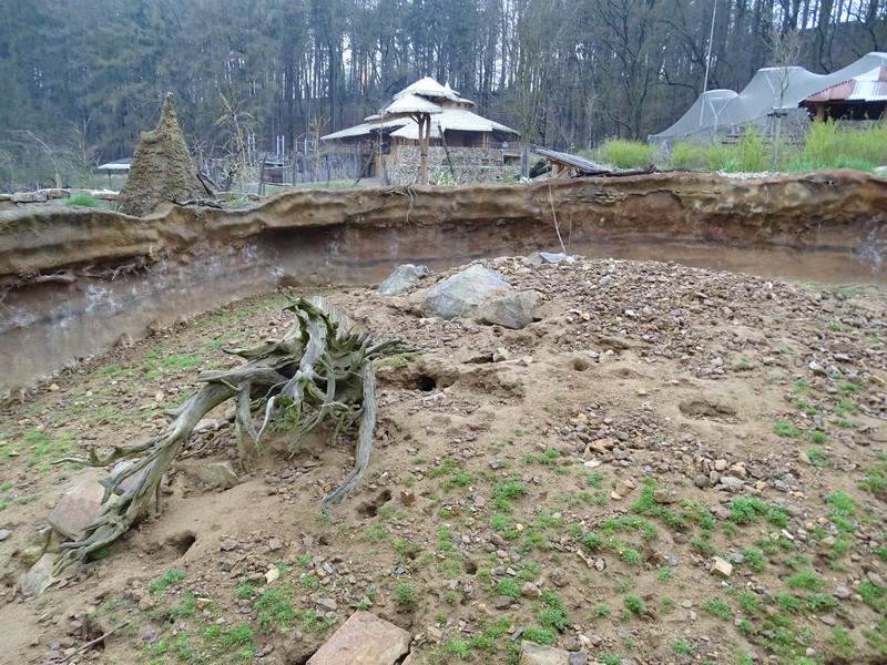 Zoo Jihlava 04/2016: Meerkat enclosure