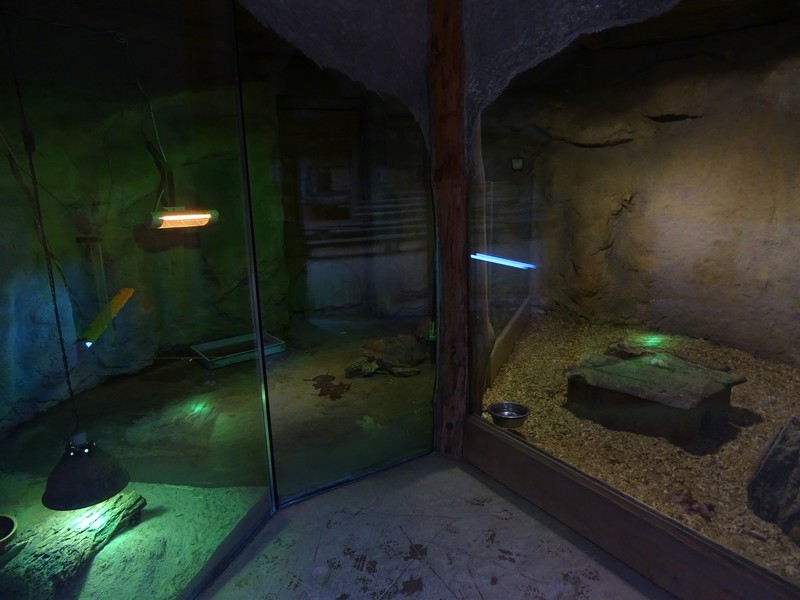 Zoo Jihlava 04/2016: Mongoose / reptile enclosures