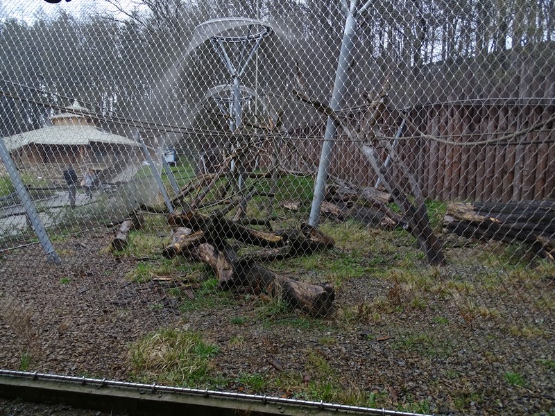 Zoo Jihlava 04/2016: Monkey enclosure