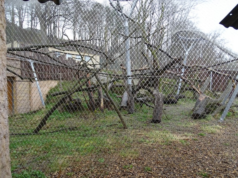 Zoo Jihlava 04/2016: Monkey enclosure