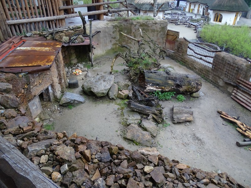 Zoo Jihlava 04/2016: Porcupine enclosure