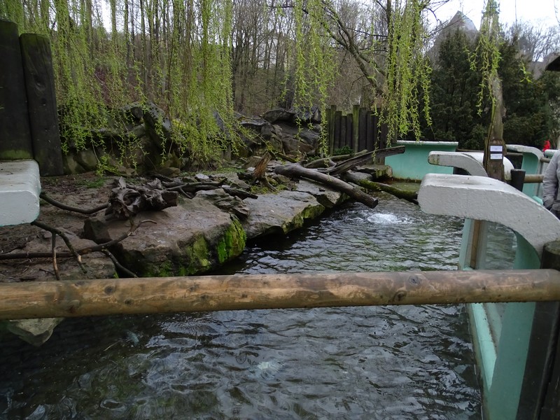 Zoo Jihlava 04/2016: Small-clawed otter enclosure