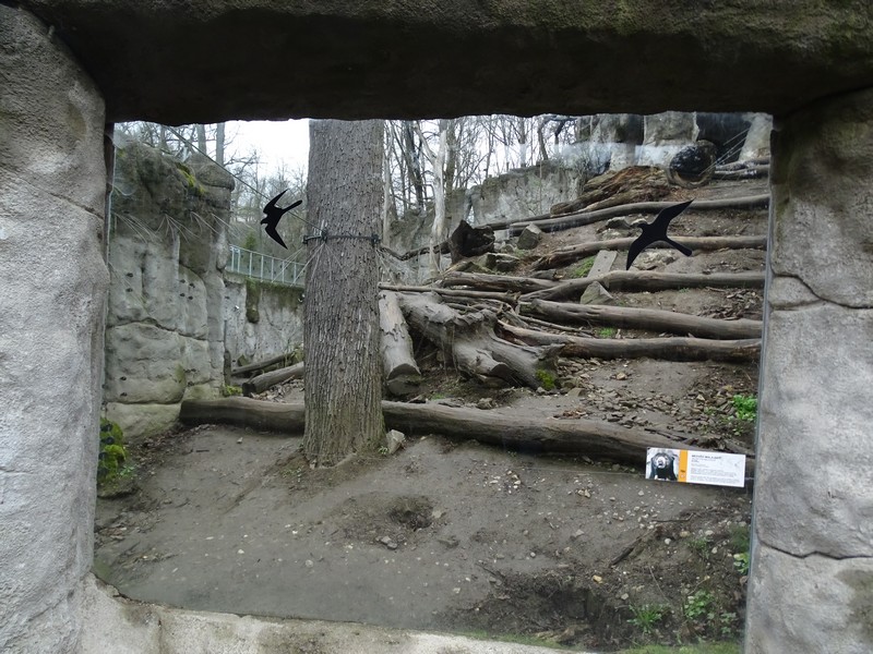 Zoo Jihlava 04/2016: Sun bear enclosure