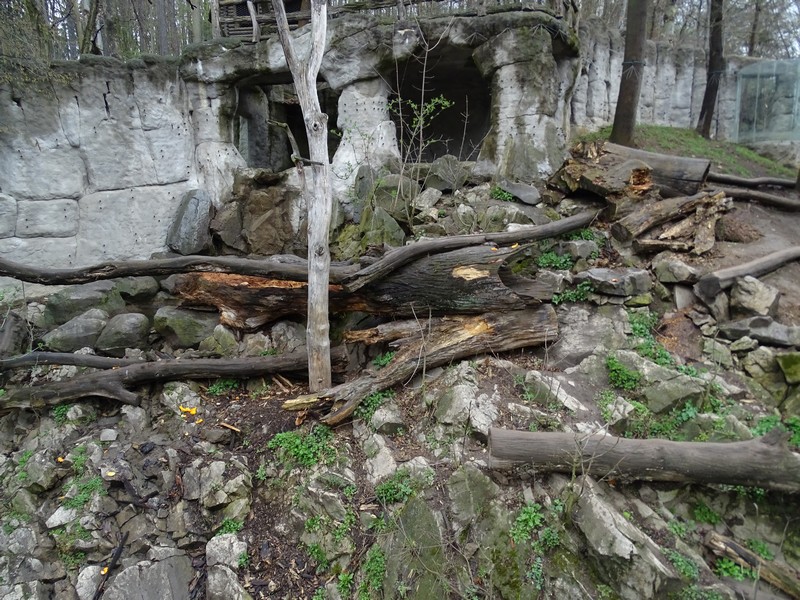 Zoo Jihlava 04/2016: Sun bear enclosure