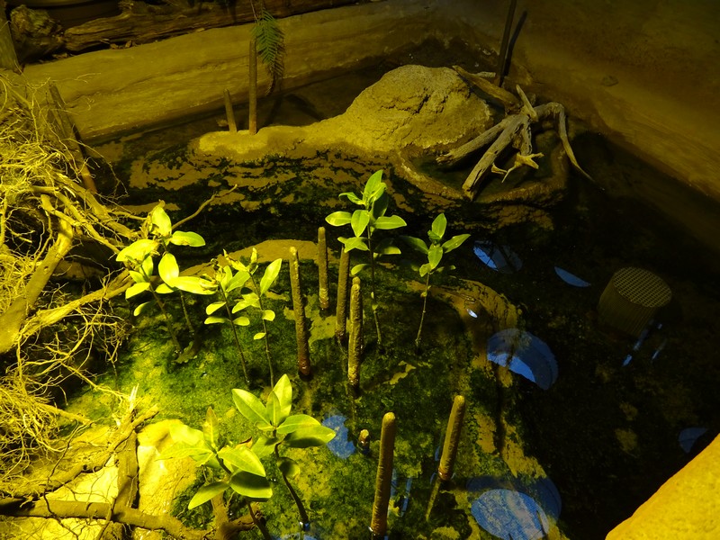 Zoo Jihlava 04/2016: Tropical Pavillon