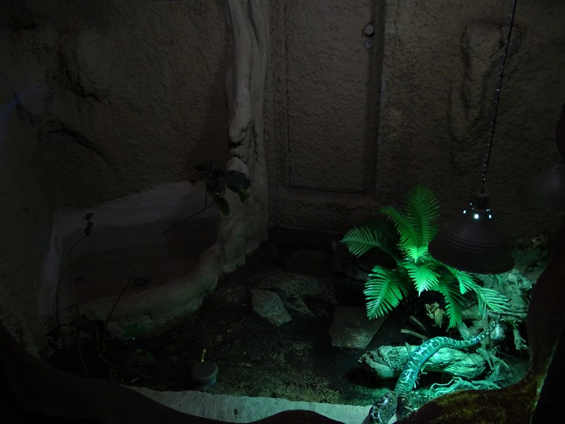 Zoo Jihlava 04/2016: Tropical Pavillon