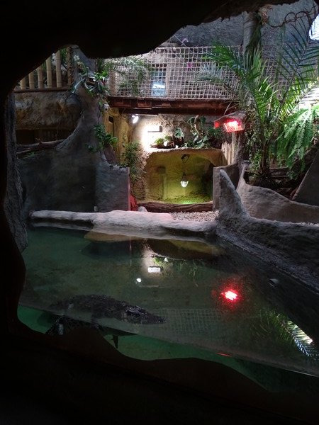 Zoo Jihlava 04/2016: Tropical Pavillon