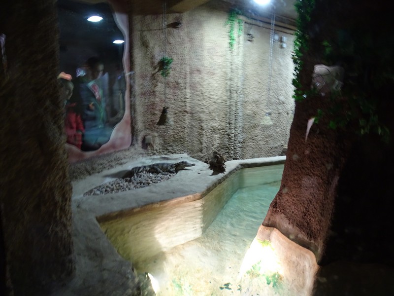 Zoo Jihlava 04/2016: Tropical Pavillon