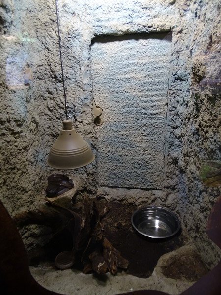 Zoo Jihlava 04/2016: Tropical Pavillon