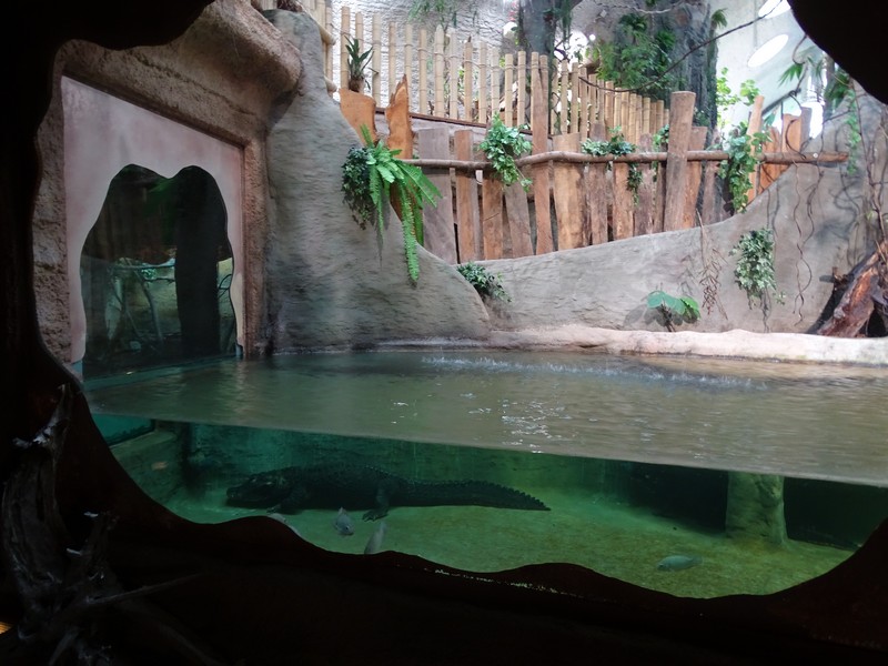 Zoo Jihlava 04/2016: Tropical Pavillon