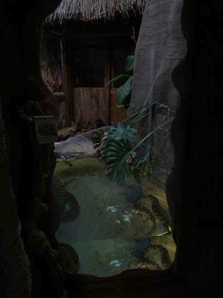 Zoo Jihlava 04/2016: Tropical Pavillon