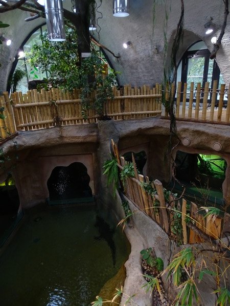 Zoo Jihlava 04/2016: Tropical Pavillon
