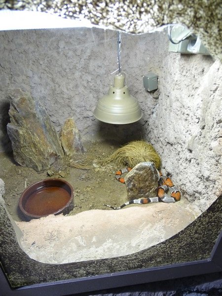 Zoo Jihlava 04/2016: Tropical Pavillon