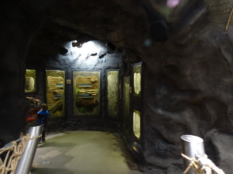 Zoo Jihlava 04/2016: Tropical Pavillon