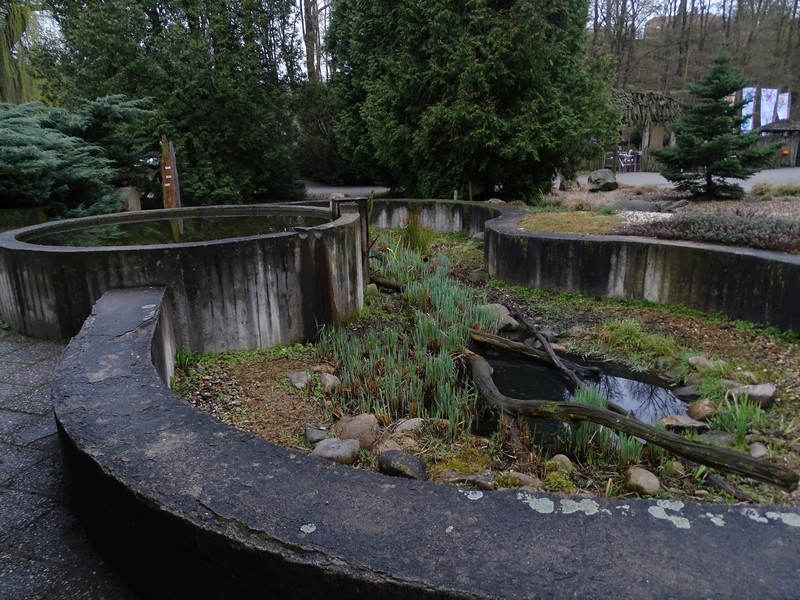 Zoo Jihlava 04/2016: Turtle enclosure