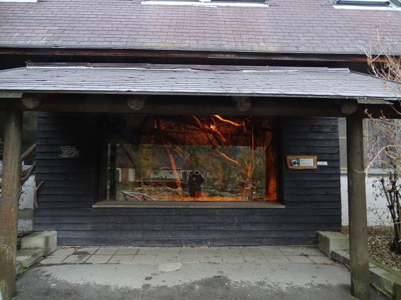 Zoo Jihlava4/2016: Cottontop Marmoset enclosure