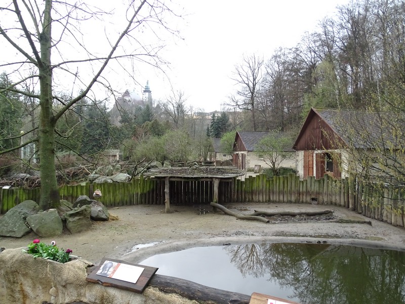 Zoo Jihlava4/2016: Pygmy hippo enclosure