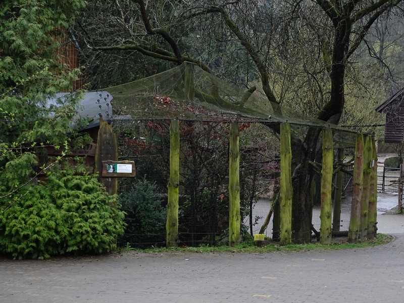Zoo Jihlava4/2016: Seriema aviary