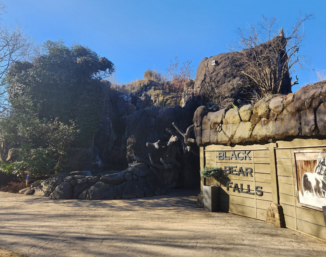 Zoo Knoxville - Black Bear Falls