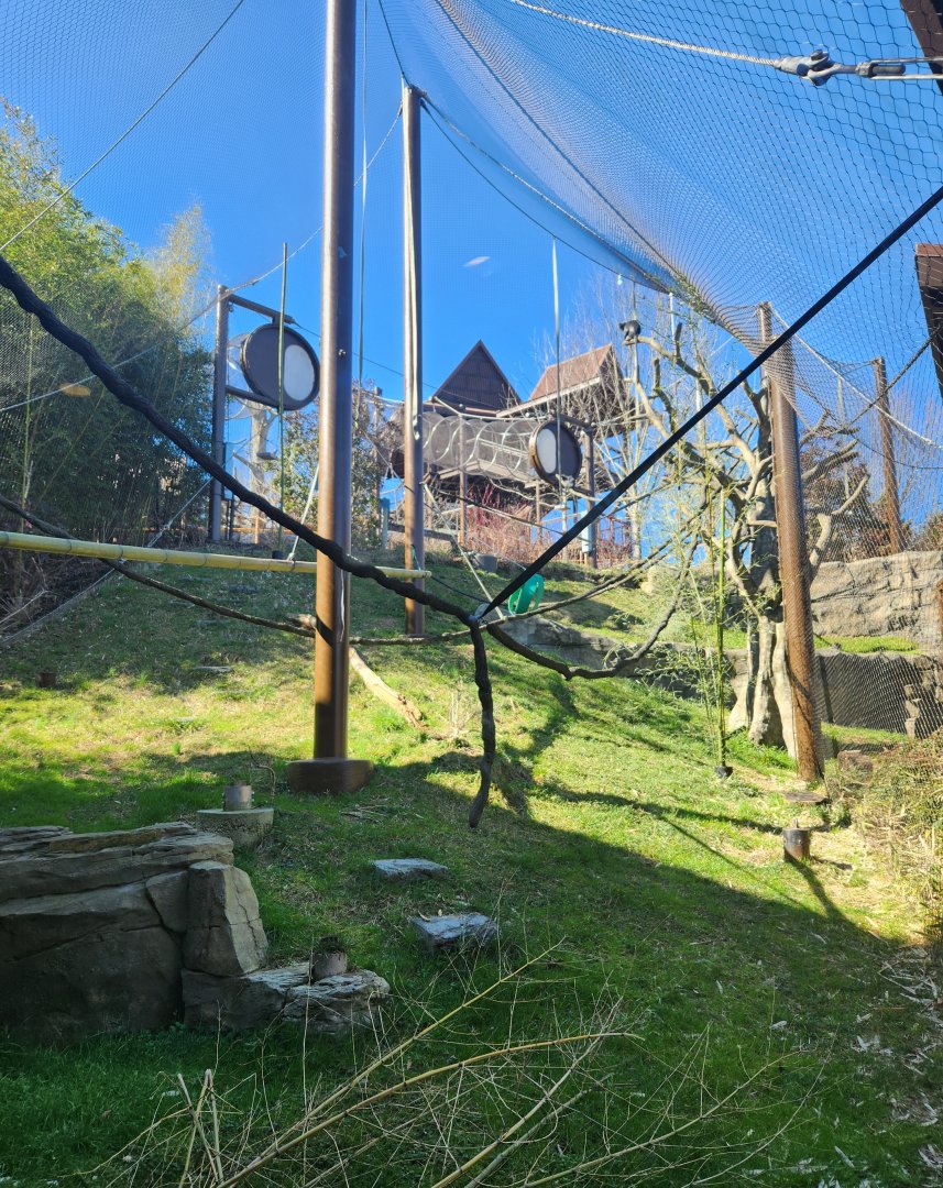 Zoo Knoxville - Langur Landing enclosure