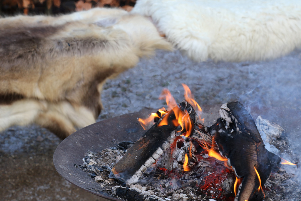 Zoo København's central heating, January 2017