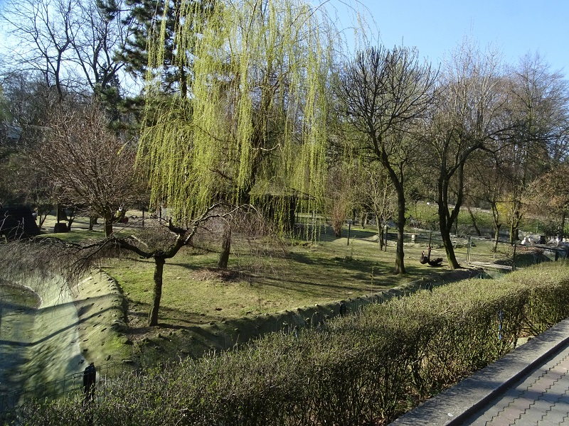 Zoo Krakow 04/2019: Water bird enclosures