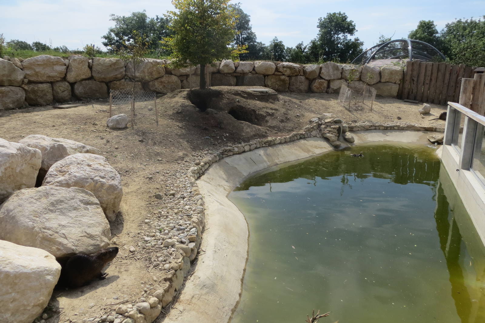 Zoo La Garenne - Coypu enclosure 150816