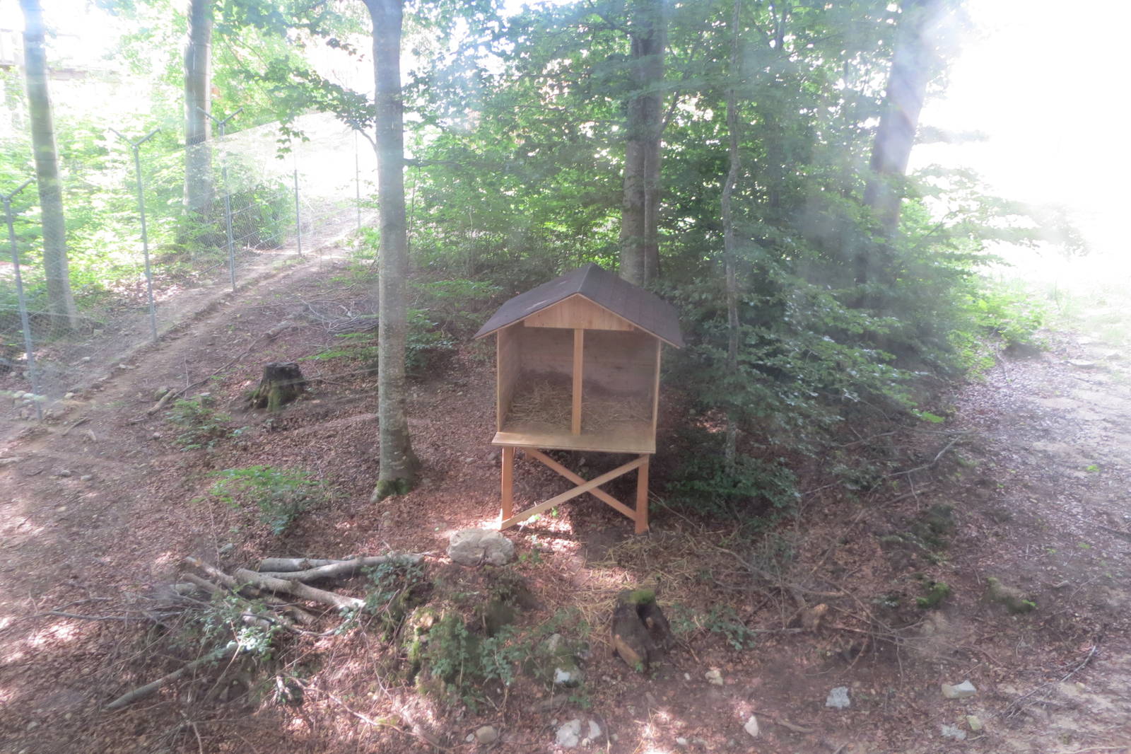 Zoo La Garenne - Northern Lynx enclosure 150816