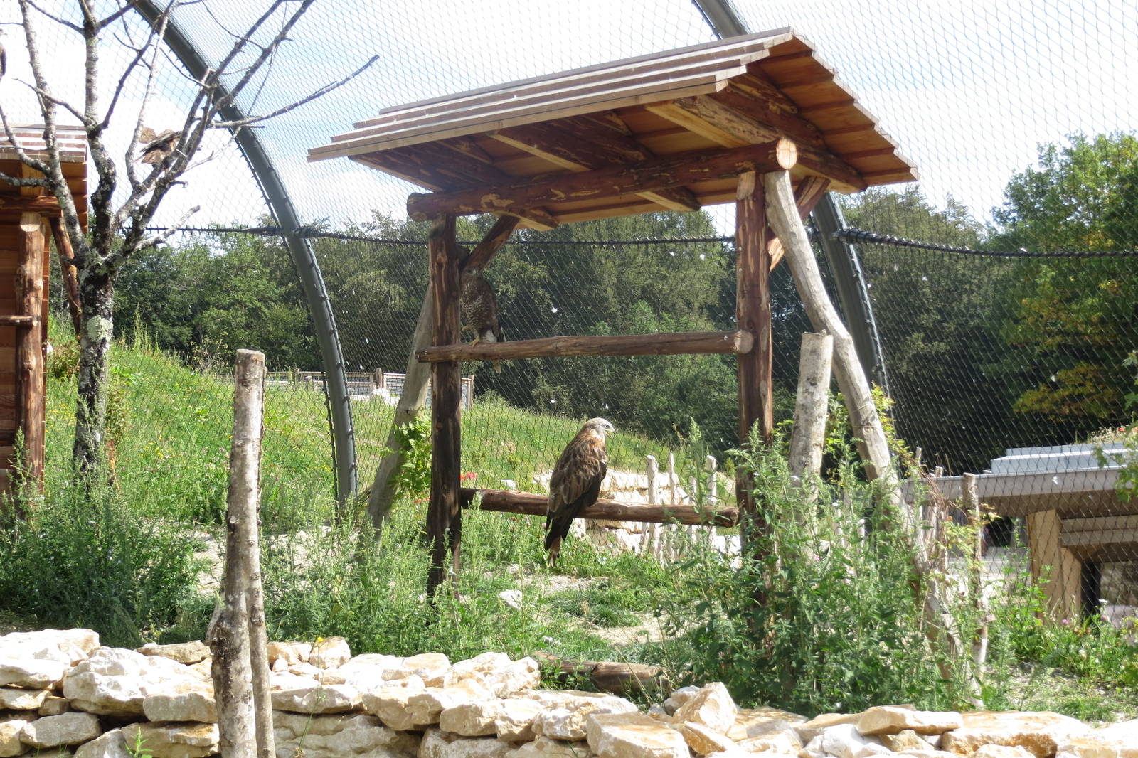Zoo La Garenne - Walk-in Buzzard and Kite Aviary 150816