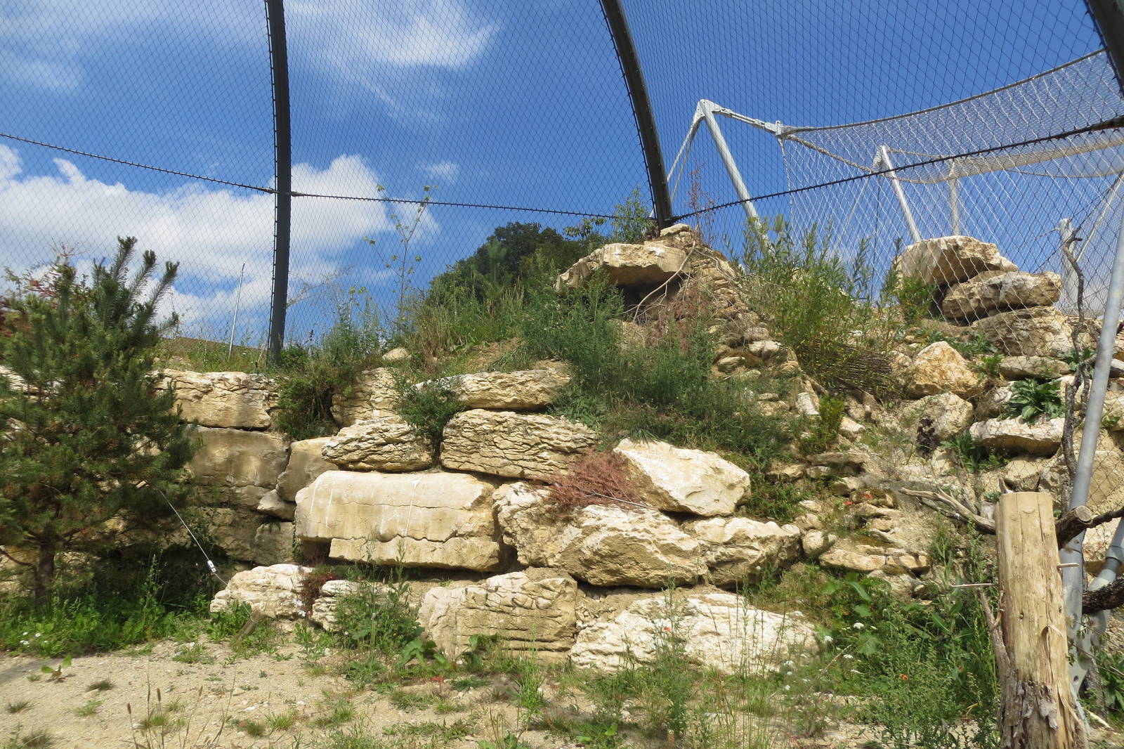 Zoo La Garenne - Walk-in Eagle Owl aviary 150816